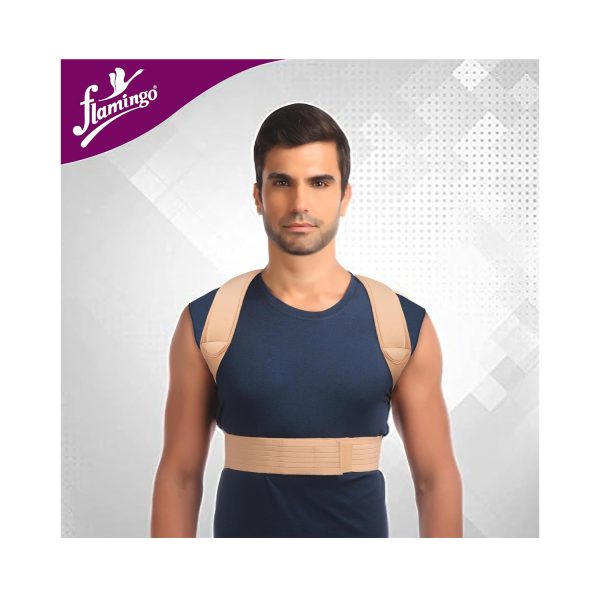 (Flamingo)حزام ظهر كامل صغيرOC2361
