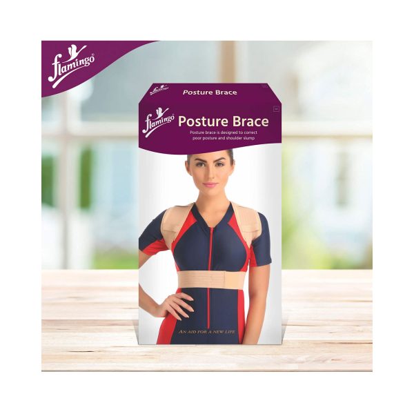(Flamingo)حزام ظهر كامل صغيرOC2361