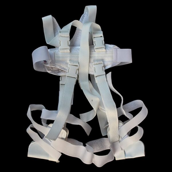 Pavlik Harness ( MOVE ) Qasr Elteb