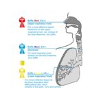 ⁦جهاز نبيوليزر ( Granzia ) ( Clinica )⁩ - الصورة ⁦4⁩